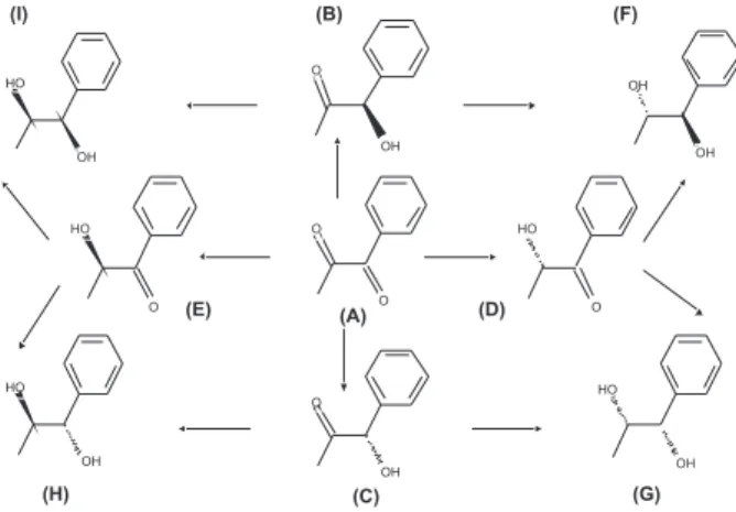 Table 4. Conversion, enantiomeric excess and yield of (R)-ethyl lactate  in the ethyl pyruvate hydrogenation at 250 min
