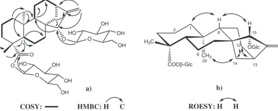 Figure 2. a)  1 H- 1 H COSY and HMBC of compound 3. b) Key NOESY correlations of compound 3.