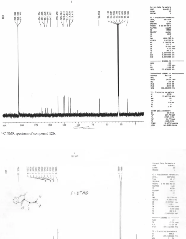 Figure S8.  13 C NMR spectrum of compound 12b.