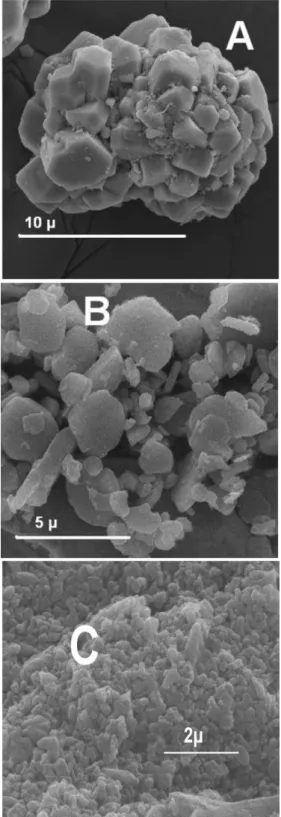 Figure 2. Electron microphotograph of the samples: A, α-Alumina (EM); 