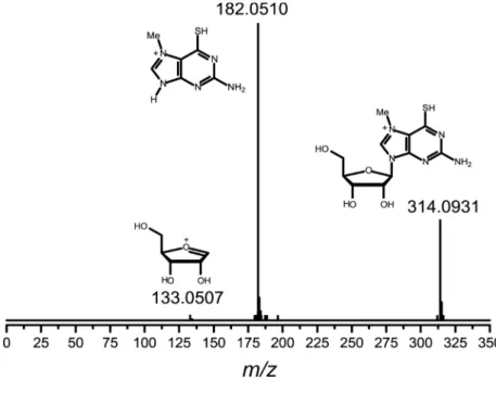 Figure S2.  13 C NMR (APT) (DMSO-d 6 )