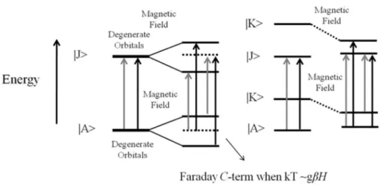 Figure 5. Molecular orbitals, splitting and mixing, promoted by the magnetic ield, resulting in the MCD spectral contribution of Faraday A- and B-terms,  respectively