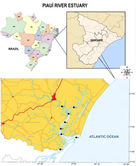 Figure S1. Locations of the sampling sites in the estuary of the Piauí River, Sergipe State, Brazil.