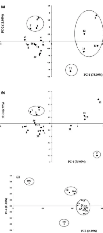 Figure 1. Scatter space plot of the principal components (a = PC1 × PC2; 