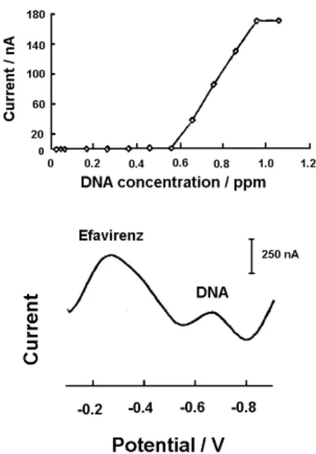 Figure  6. Differential  pulse  adsorptive  stripping  voltammogram  of  efavirenz  (1.0  ppm)  in  the  presence  of  DNA  (0.96  ppm)  in  a  solution  of 2.0 × 10 -3  mol L -1  NaOH