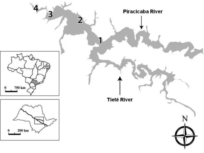 Figure S1. Map of study area showing sampling sites 1, 2, 3 and 4.