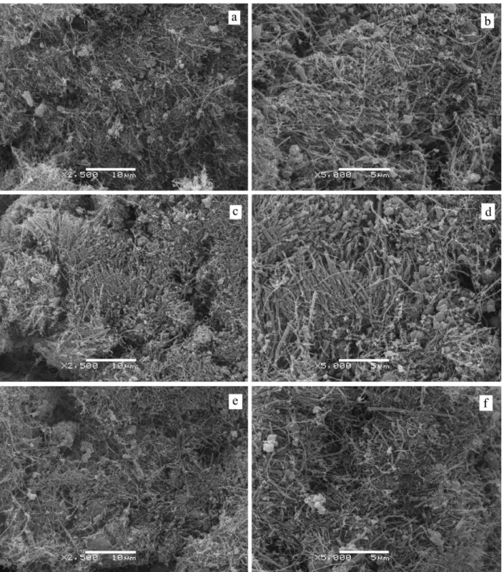 Figure 6. SEM images: (a) and (b) CNTs treated with a mixture of nitric and hydrochloridric acid (CNT/NA+CA), (c) and (d) CNTs treated with sulfuric  acid (CNT/SA), (e) and (f) CNTs treated with a mixture of sulfuric and nitric acid (CNT/SA+NA)