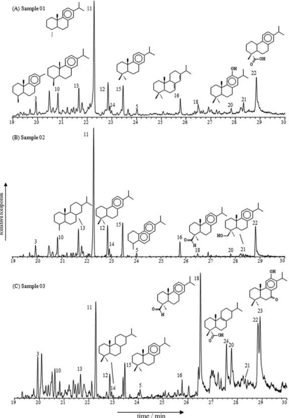 Figure 2. GC-MS of the Recôncavo Basin amber extracts, showing enlarged section of the total ion current trace (19-30 min): (A) sample 01; (B) sample 02; 