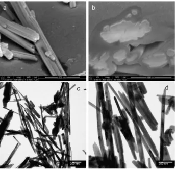 Figure 4. FIB (a, b) and TEM images (c, d) of SS-CdSiO 3 .