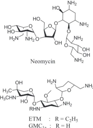 Figure  1. The  structure  of  neomycin  (NMC),  etimicin  (ETM)  and  gentamycin C 1a  (GMC 1a ).