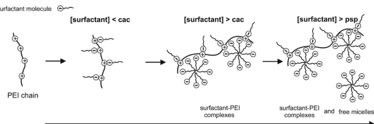 Figure 3 schematically represents the common steps of the  PEI-surfactant associations.