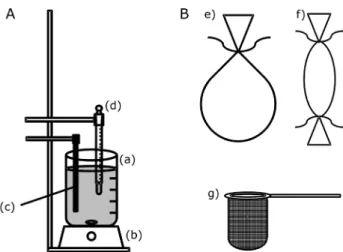 Figure 2. (A) Apparatus for dissolution studies. (a) recipient containing the  dissolution medium (0.01 mol L -1  HCl); (b) magnetic stirrer; (c) heating  device  with  thermostat  (d)  set  to  (37.0  ±  0.5)  o C;  (B)  tablet  supports  evaluated