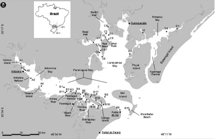 Figure 1. Map of the study area showing the sediment sampling sites in the Paranaguá Estuarine System, Brazil.