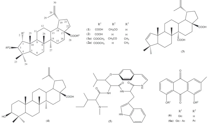Figure 1. Structures of natural products 1-6 isolated from C. greggii, and semisynthetic derivatives 1a, 2a and 6a.
