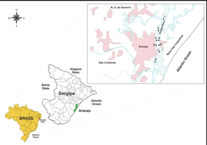 Figure S1. Locations of sampling sites in the Sergipe river estuary.