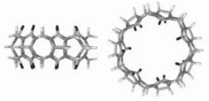 Figure 1. Representation of the chemical structure of cucurbit[7]uril.