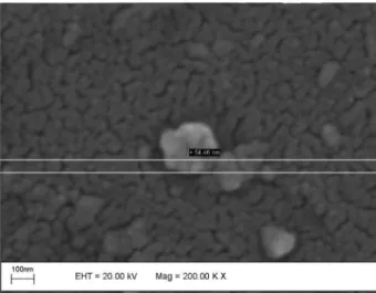 Figure 4. SEM image of the CB[7]/PbI 2  sample with aggregates under 