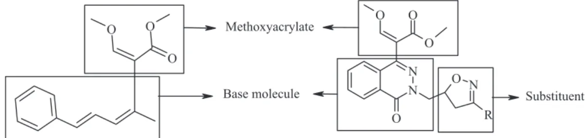 Figure 1. Strobilurin A and modiied strobilurin derivatives. 