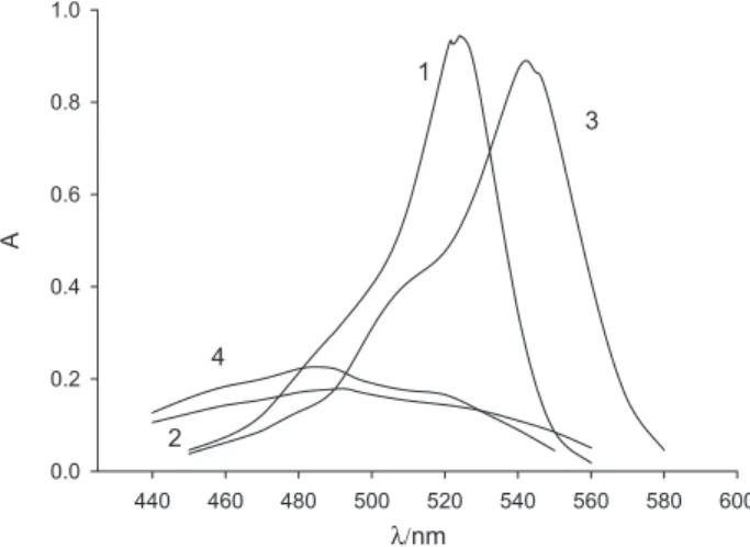 Figure  5.  Normalized  absorption  spectra  of  n-decyfluorescein  in  aqueous  solution  with  ethanol  mass  fraction  8%,  dye  concentration  1.00  ×  10 –5   mol  L -1   (1,2)  and  in  the  gelatin  ilm  (3,4);  pH  =  12.0  (1),  4.0 (2), 11.0 (3) 