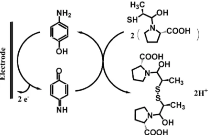 Figure 5. Chronoamperograms obtained at the surface of p-APMCNTPE in  the absence (a) and presence of (b) 100 (c) 200, (d) 300 and (e) 400 μmol L –1 captopril in the buffer solution (pH 6.0)