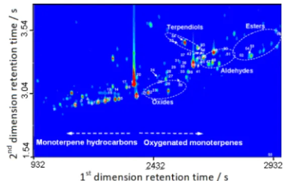 Figure  8.  Modulated  chromatogram  (A)  and  the  corresponding  two- two-dimensional contour plot (B) for the analysis of puréed fruit using  EtTBS-β-CD  column  (Mega,  Italy)  and  CycloSil  B  column  (J&amp;W  Scientiic,  USA)  in  the  irst-dimensi