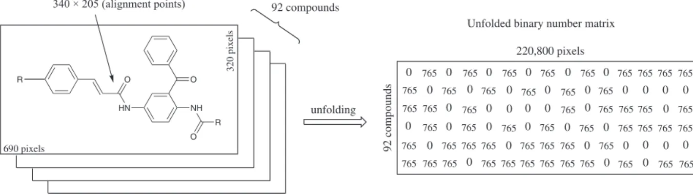 Figure 1. Representative example of the procedure to obtain the X-matrix used in MIA-QSAR.
