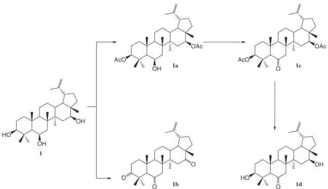 Figure 1. Natural triterpene 1 and synthetic derivatives 1a-1d.