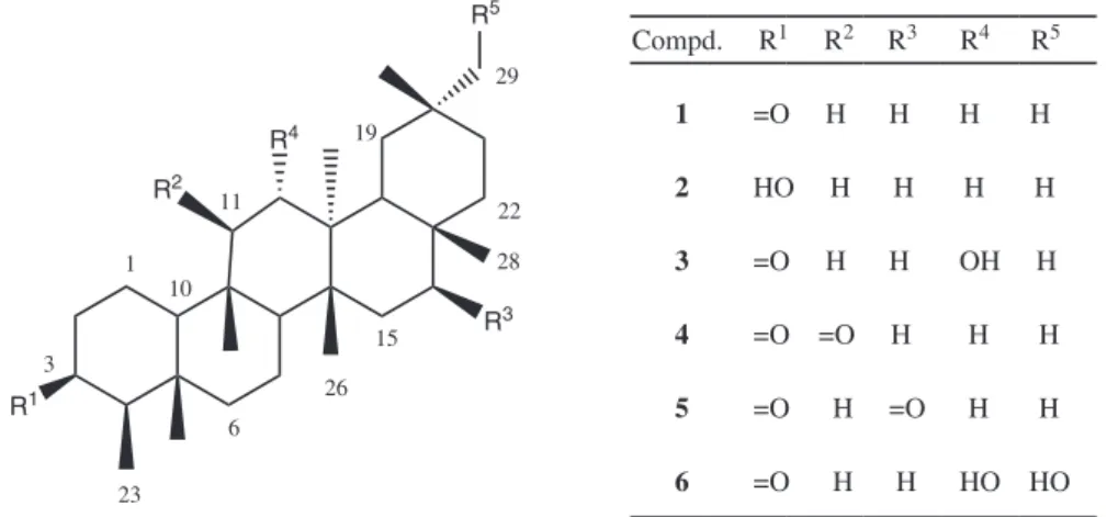 Figure 1. Chemical structures of the triterpenes isolated from branches of M.gonoclada.