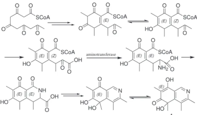 Figure 1. Key HMBC correlations (H→C) for compound 1.