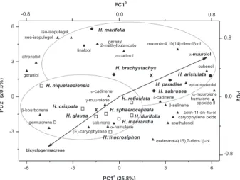 Figure 1. Biplot from PCA of Hypenia spp. essential oil to whose cluster  it belongs: I (  ); II (  )