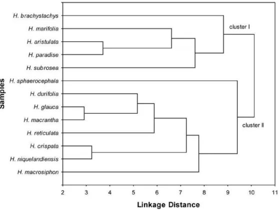 Figure  S2.  Dendrogram  representing  the  similarity  relationships  among Hypenia spp