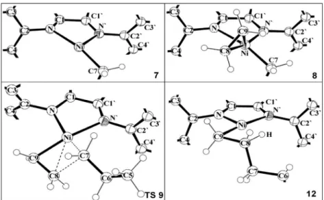 Figure 4. Top views of the molecular geometries of: the cationic 14 electrons [Ni(diimine)( n Pr)] +  structure 7; of the [Ni(η 2 -ethene)(diimine)( n Pr)] +  π-complex  8; of the migratory insertion TS 9; and of the β-agostic complex 12.