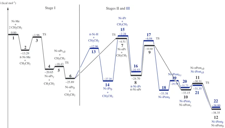 Figure 9. Relative potential energy proiles of the key structures involved in the three different stages of the ethene polymerization reaction model adopted  in this work.