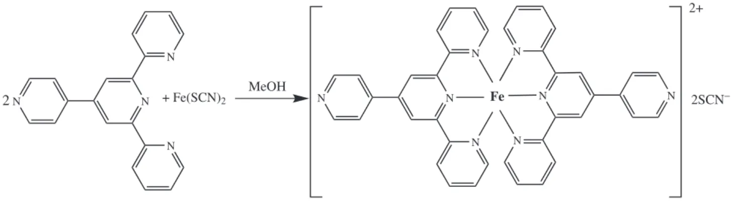 Figure  1  (A  and  B)  shows  a  typical  TEM  image  of  the  MWNTs which were dispersed in DMF by sonication
