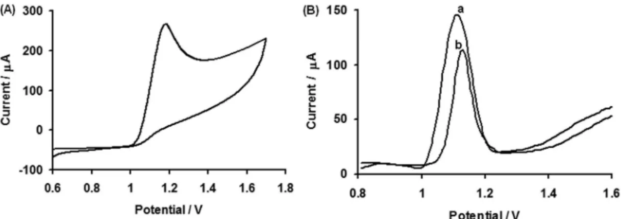 Figure  1.  (A)  Cyclic  voltammogram  of  0.99  mmol  L -1   ISO,  scan  rate  0.1 V  s -1 ;  (B) Differential  pulse  stripping  voltammogram  of  100  µg  L -1   ISO  (a) conventional (b) real sample at pH 1.