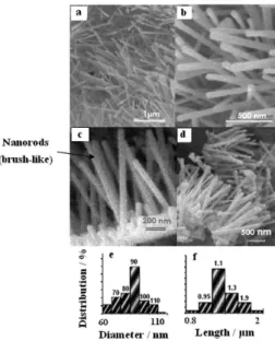 Figure 3. TEM image of a typical ZnO nanorod, and respective diffraction  pattern (SAED) of a selected area (inset)