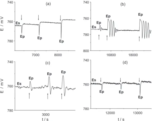 Figure 3. Typical potentiometric responses of the BL matrix obtained after perturbations of the system being in the stable stationary state with different  concentrations of vitamins B-group