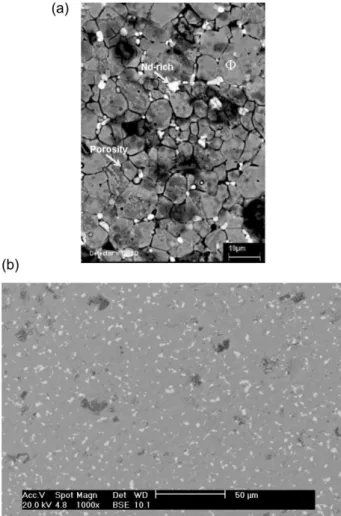 Figure  6  presents  backscattered  SEM  images  of  the  surface  of  an  uncoated  (Figure  6a)  and  of  a   phosphate-coated (Figure 6b) magnet after 4 h of immersion in the 
