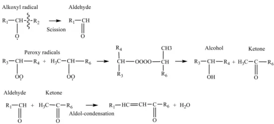 Figure 4. The formation of oligomers in biodiesel. 12