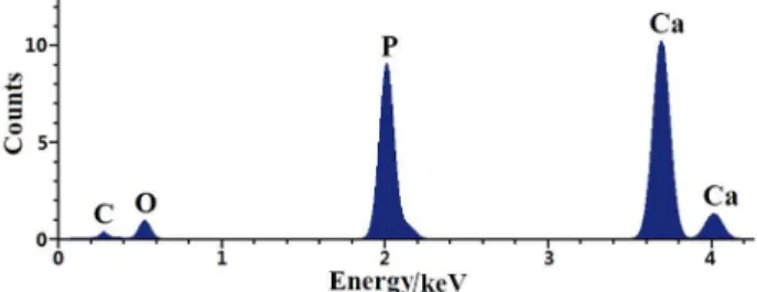 Figure 8. Typical EDXA spectrum of the HAp nanoparticles corresponding  to the sample Hy5-200-0.1.