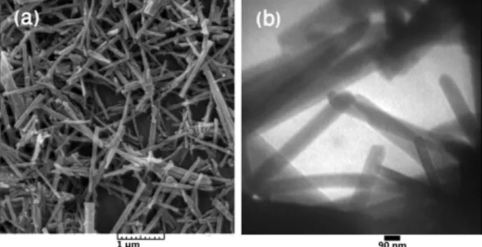 Figure  6  shows  the  large  scale  typical  SEM  and  TEM  micrographs  of  such  HAp  nanoparticles  prepared  under  relatively optimum conditions