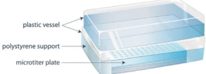 Figure 1. Representation of the microtiter plate water bath used for the  heating step.