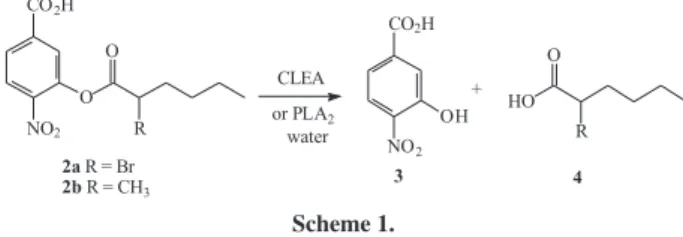 Table 2. Hydrolysis of 3-(2-methylhexanoyl)-4-nitrobenzoic acid 2b with  free PLA 2  and with CLEA-phospholipase