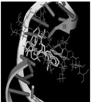 Figure 2. Base pairs forming stack interaction between Topoisomerase  I and compounds 10b and 10g