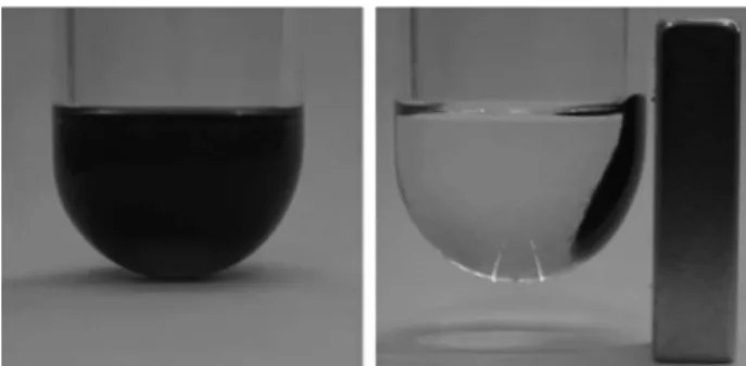 Figure 1. Magnetic separation of superparamagnetic nanoparticles  dispersed in a liquid media