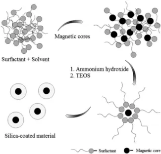 Figure 2. Schematic representation of the preparation of silica-coated  magnetite by a reverse microemulsion.