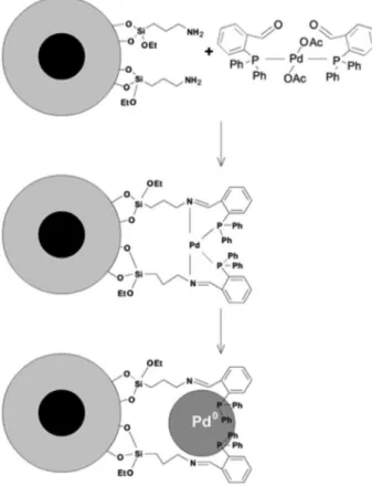 Figure 5. Preparation of supported Pd NPs from iminophosphine- iminophosphine-Pd precursor covalently bound to the magnetic support prepared by  microemulsion.
