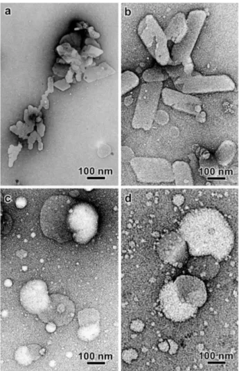 Figure 2. TEM images of NE nanocarriers prepared in the presence of  Poloxamer 188 (a, c) and PEG 660-stearate (b, d) in the aqueous phase; 