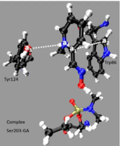 Figure 3. Position of 2-PAM lanked by Tyr124 and Trp86 after 3.0 ns  of MD simulation.