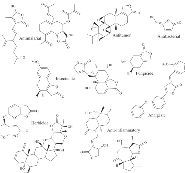 Figure 1. γ-Lactones and respective biological activities.
